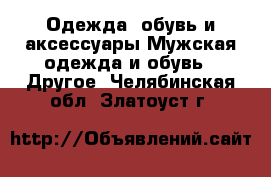 Одежда, обувь и аксессуары Мужская одежда и обувь - Другое. Челябинская обл.,Златоуст г.